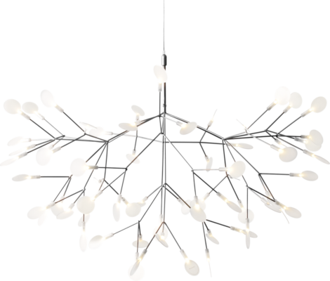 Heracleum III Suspended